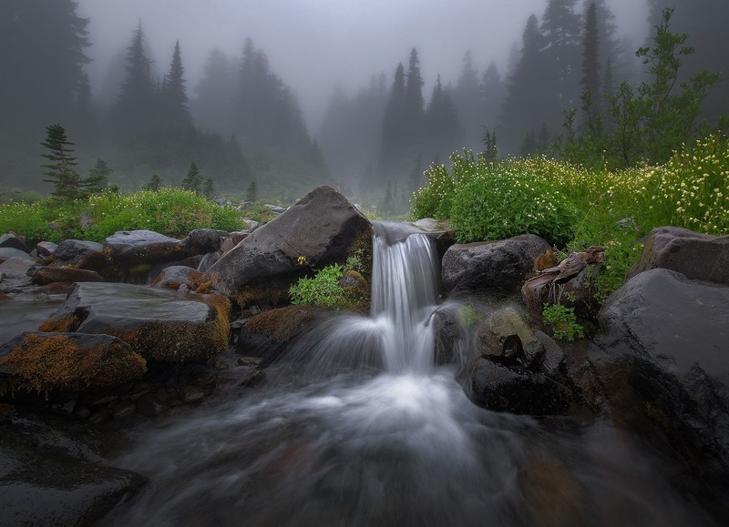 nature, water, stones, landscape, stream, mist