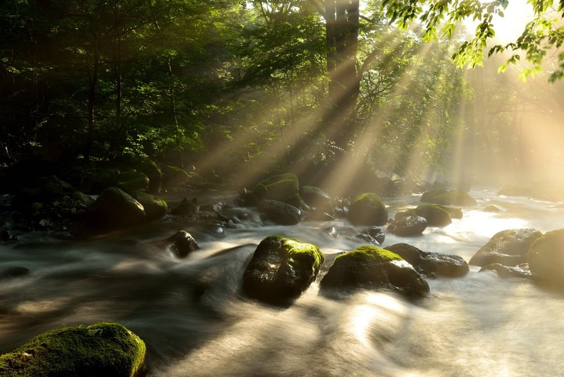 nature, water, sun rays, river