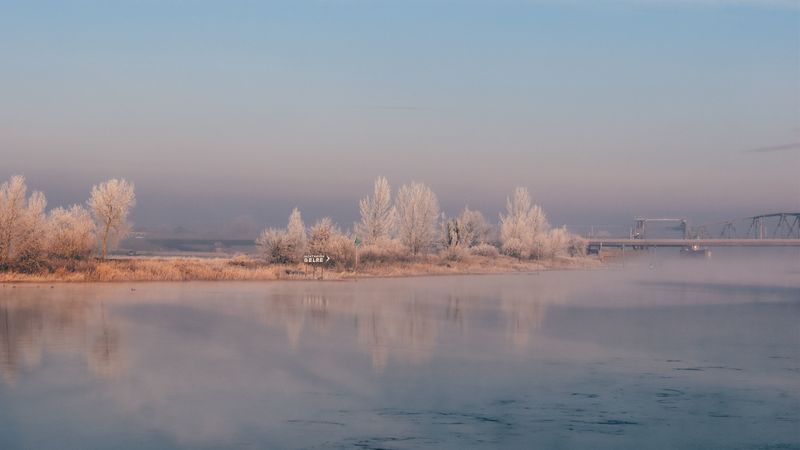 river, fog, shore, trees, bushes, 4k