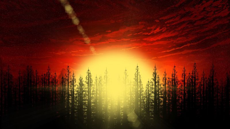 dawn, sun, glare, forest, art, 4k