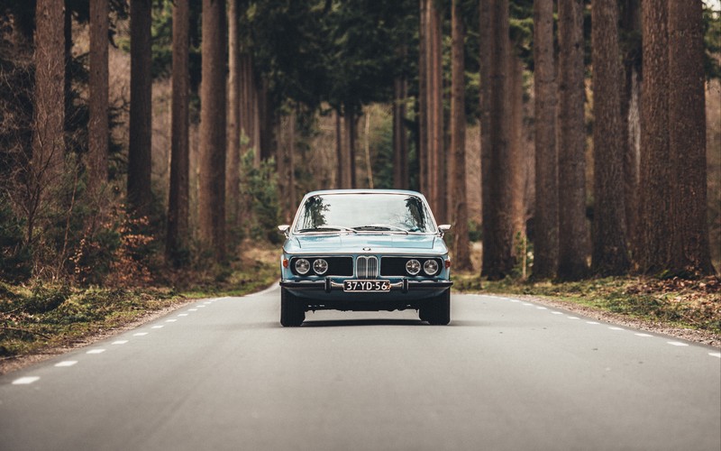 car, BMW, forest, road, BMW E9, frontal view, trees
