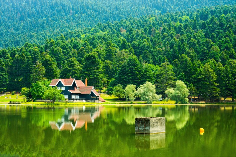 green, natural light, landscape, reflection, house, lake