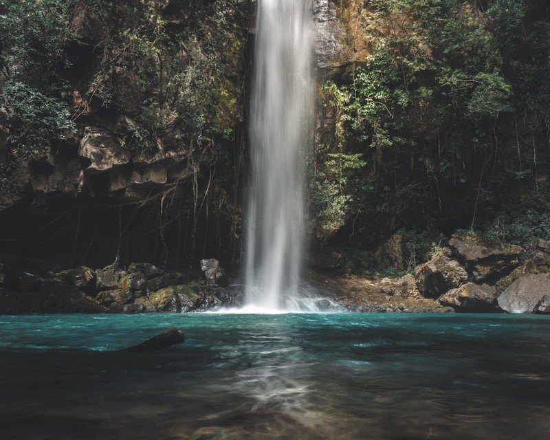 nature, water, trees, waterfall