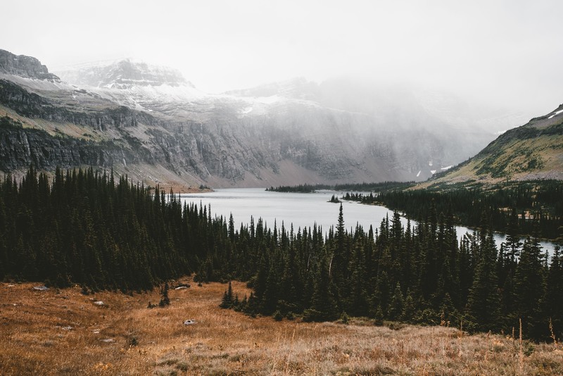 nature, trees, snow, mountains, far view, landscape