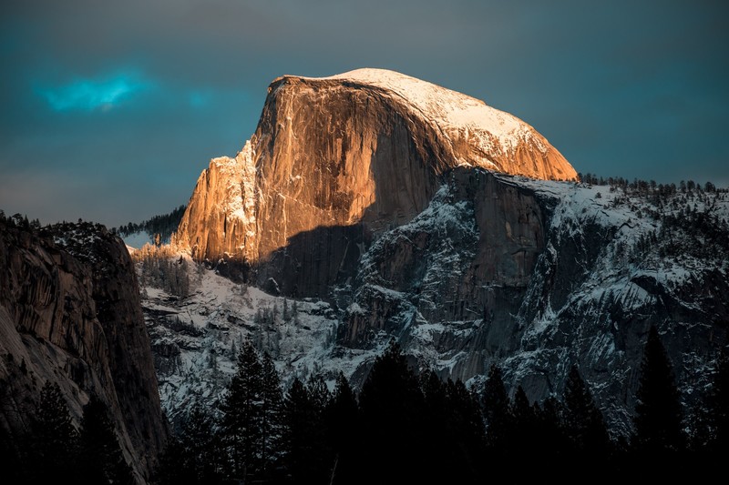 nature, mountains, trees, snow