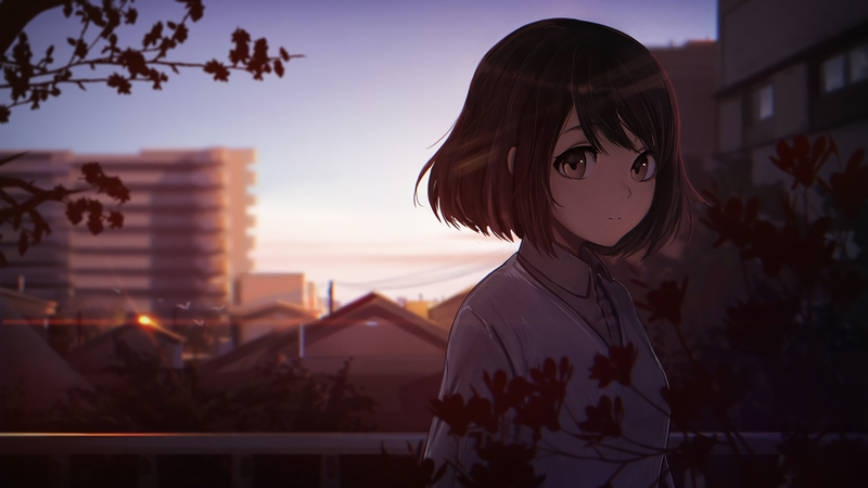 anime, anime girls, urban, brunette, brown eyes, moescape