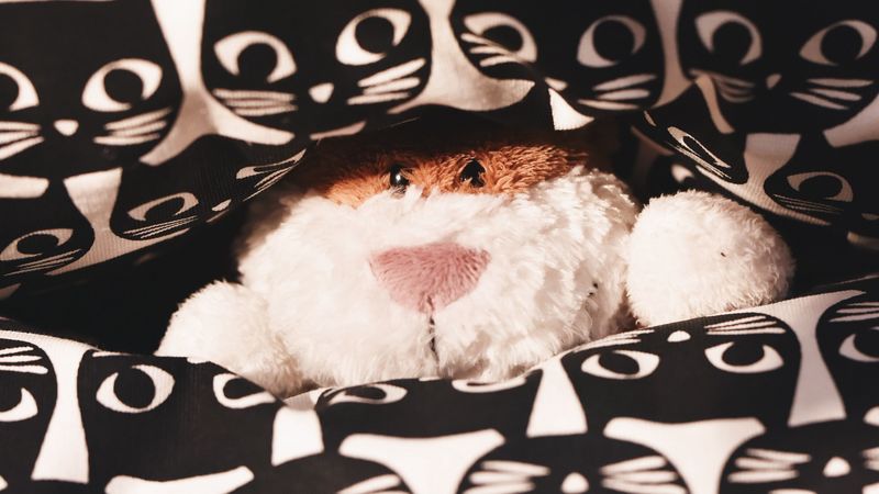 toy, teddy, peeking, pattern, cats, 4k
