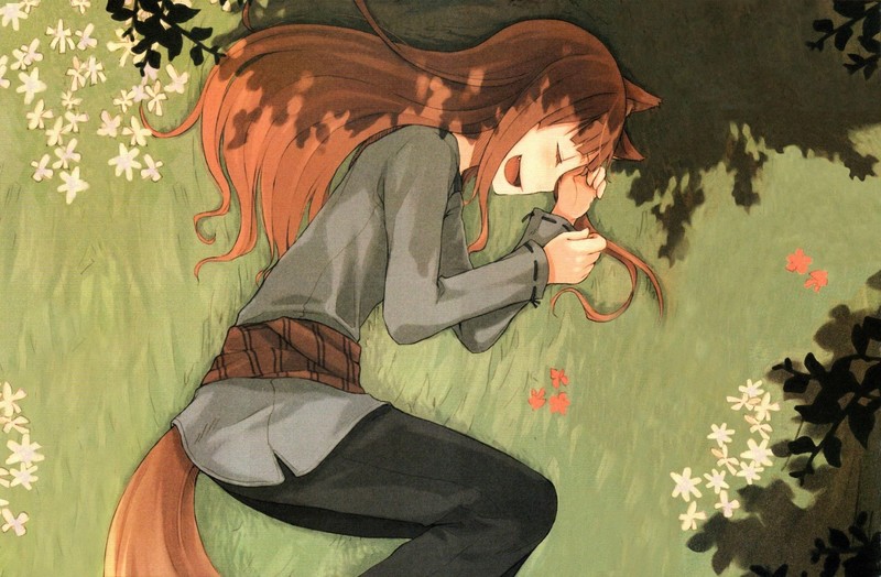 anime, wolf, Spice and Wolf, Holo (Spice and Wolf)