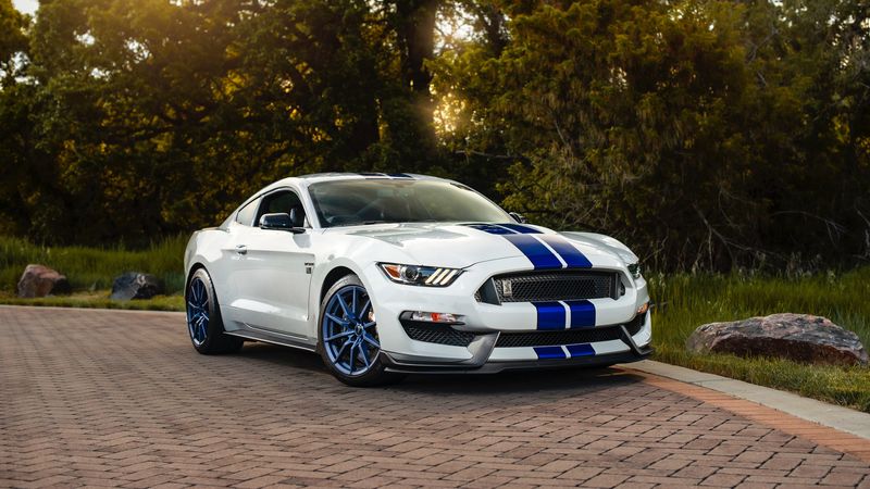 ford mustang gt350, ford, car, sportscar, white, side view, 4k