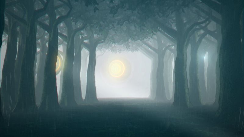 forest, trees, light, spotlights, night, rain, 4k