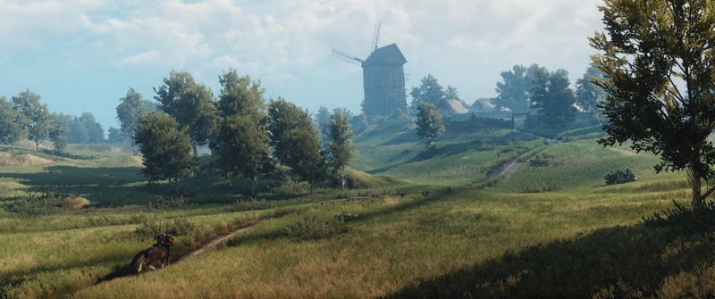 The Witcher, The Witcher 3: Wild Hunt, video games