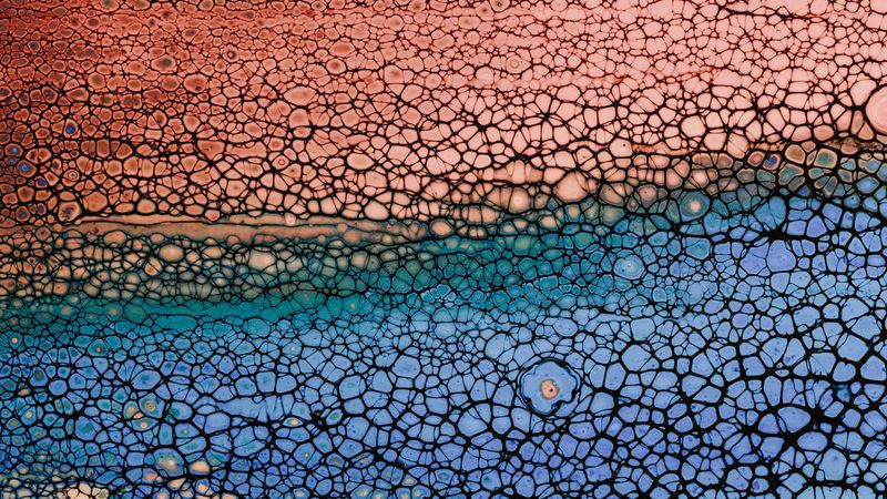 bubbles, stains, liquid, colorful, texture, 4k