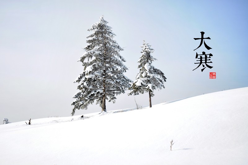 solar terms, snow, winter, trees, outdoors