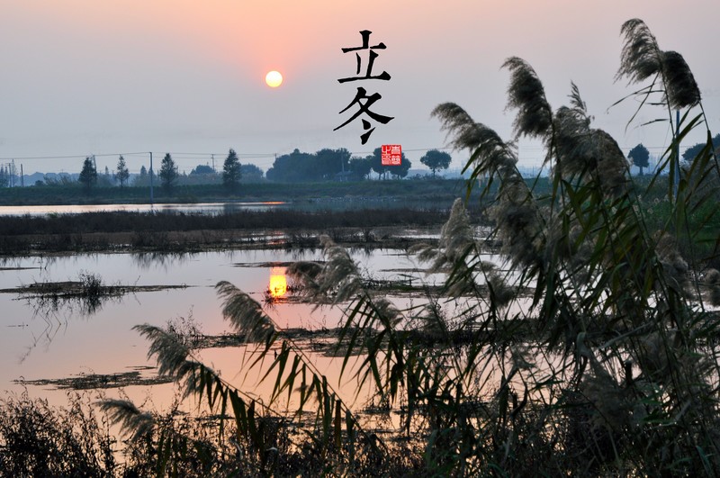 solar terms, nature, landscape, Sun