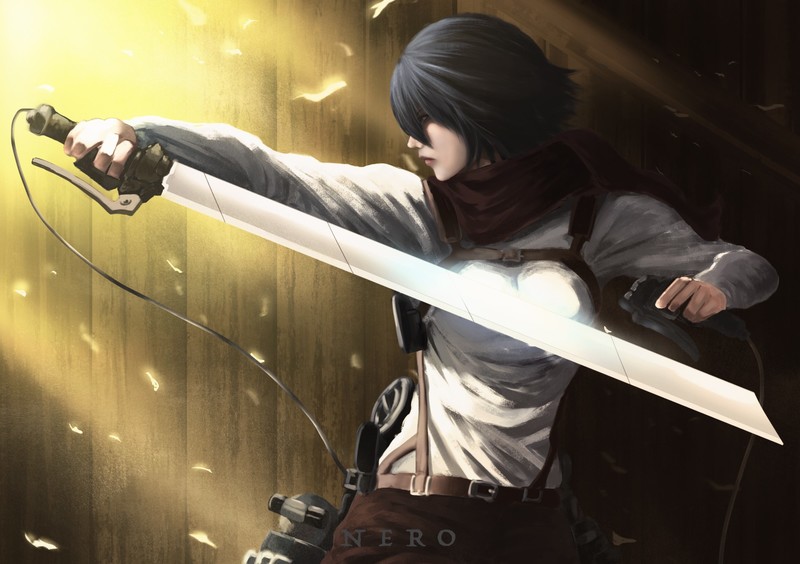 Shingeki no Kyojin, anime girls, Mikasa Ackerman