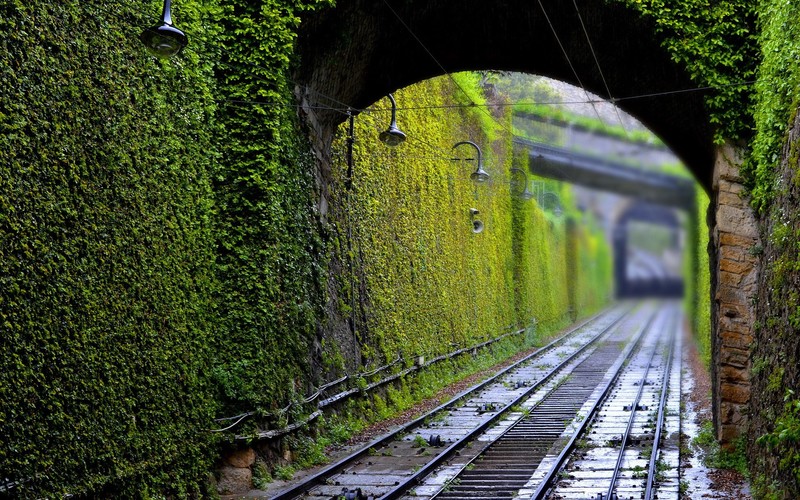 photography, railway, tunnel, green, plants, lamp