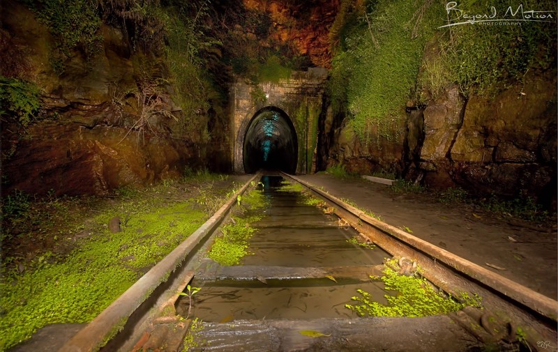 photography, railway, tunnel, abandoned, plants, water, rock, Australia