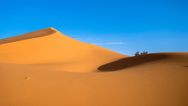 Sahara, sand, nature, blue, sky, landscape, dunes