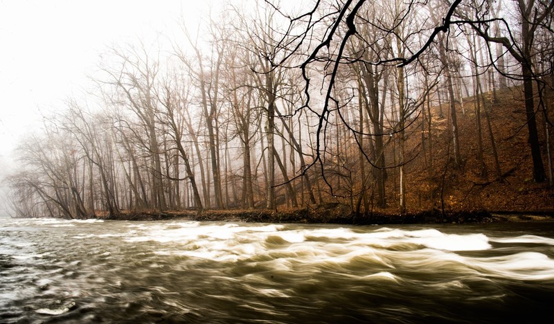 river, nature, water, trees