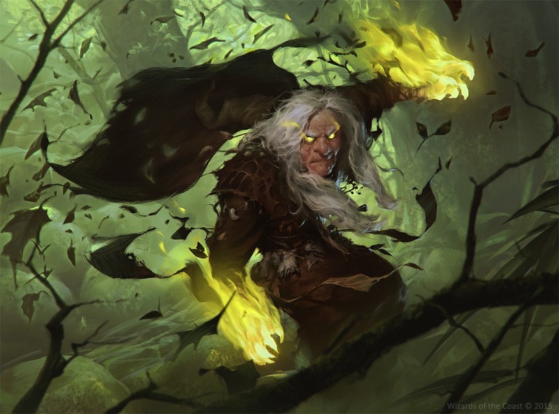 Slawomir Maniak, men, hood, forest, magic, trees, fire, gray hair