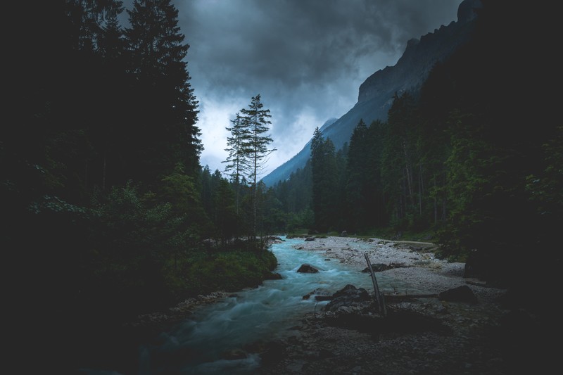 landscape, forest, overcast, dark, river, nature, mountains, water