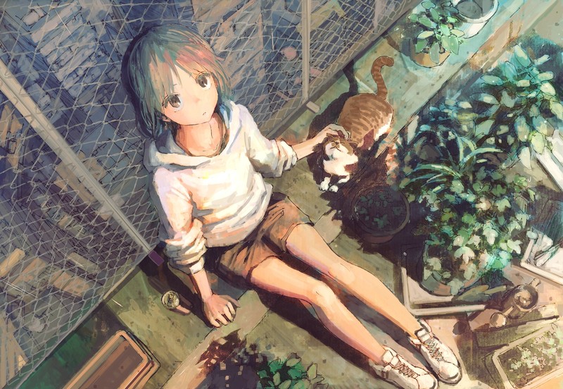 anime, anime girls, cats