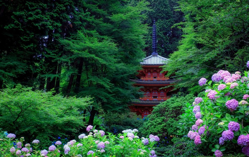 Asian architecture, pagoda, trees, forest, plants, flowers, leaves, Japan, hydrangea