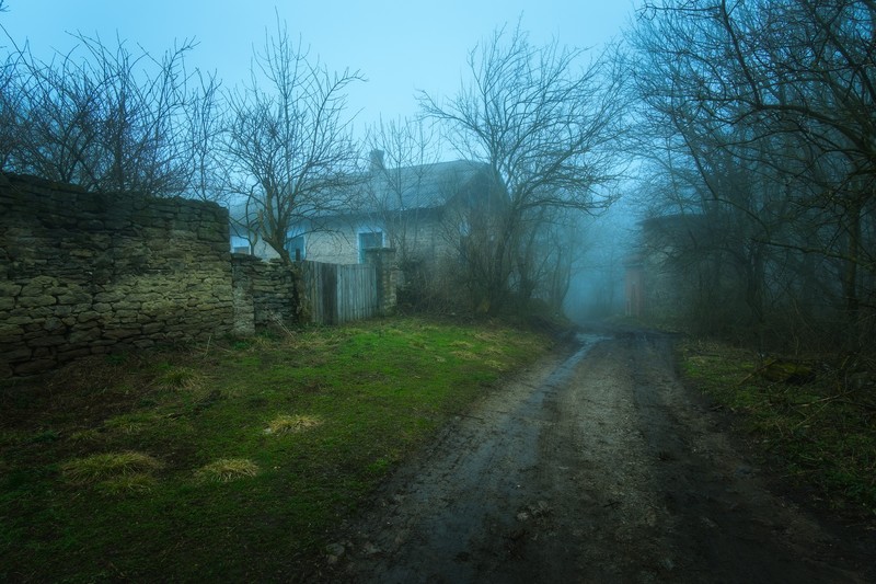 dirt road, mist, trees, house