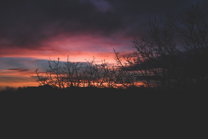 trees, sunset, clouds, Sun, sky, dark, dusk, orange sky