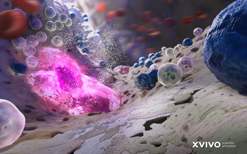 digital art, macro, closeup, bacteria, viruses, biology, science, XVIVO, CGI, depth of field, animation, bones
