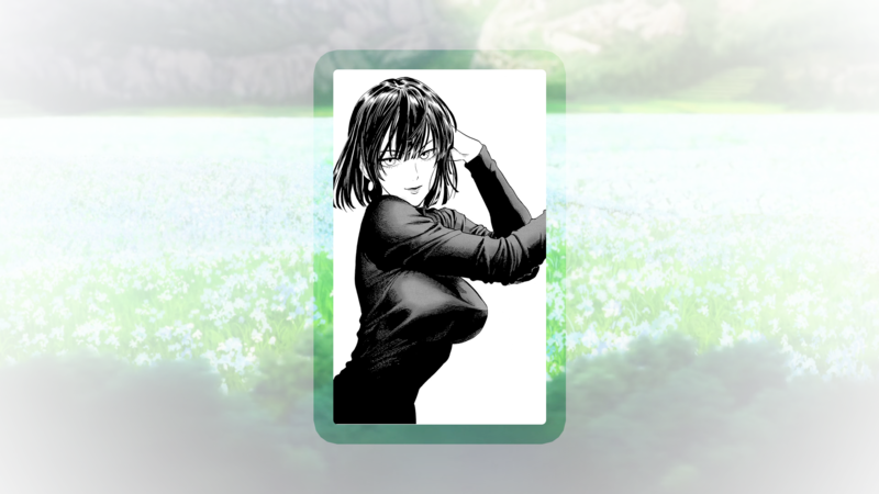 Fubuki, One-Punch Man, anime, manga