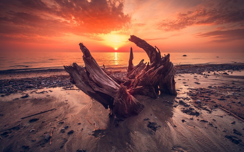 beach, sunlight, sky, wood, sea, nature