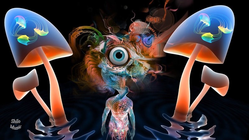 wall, music, digital art, surreal, artwork, mushroom