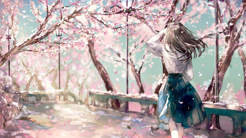 anime, anime girls, sakura (tree), pink flowers