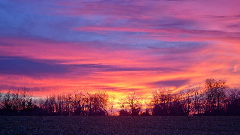 sunrise, clouds, trees