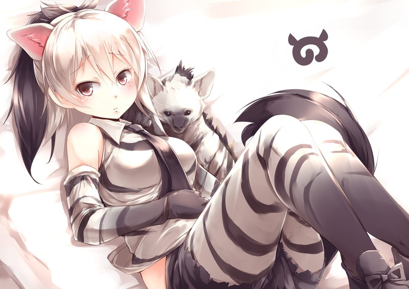 Kemono Friends, animal ears, pantyhose, tail, white background