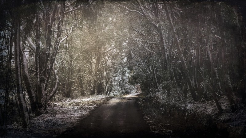 dark, road, winter, snow, trees