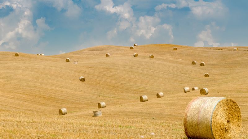 field, straw, bales, hills, landscape, 4k