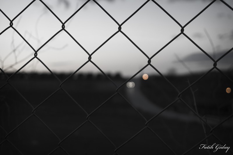 monochrome, freedom, contrast, fence
