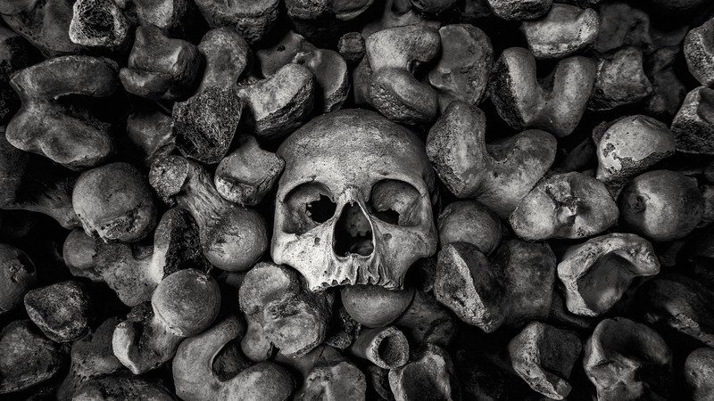 bones, skull, monochrome, dark
