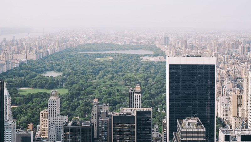 cityscape, New York City, Central Park, skyscraper, building, trees