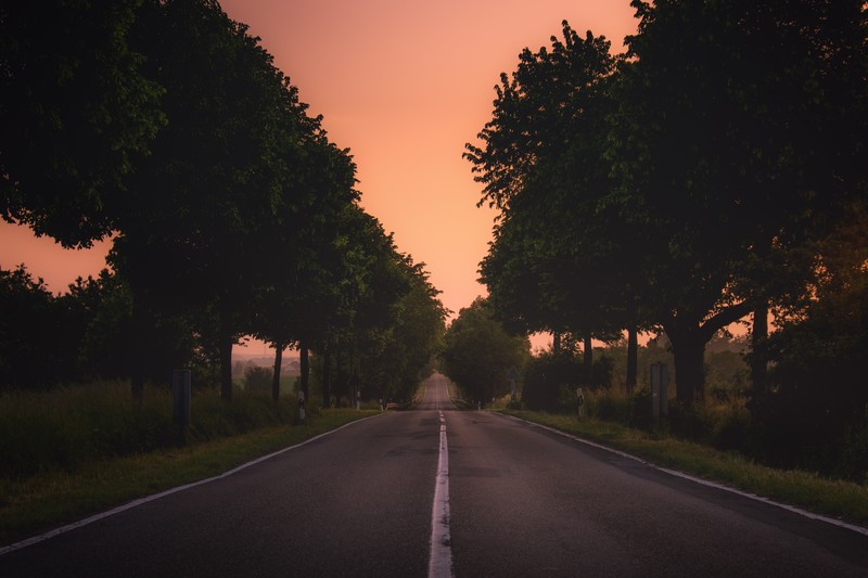 landscape, trees, plants, grass, road, Germany, nature