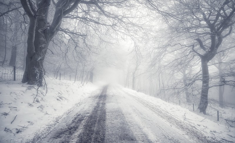 road, ice, snow, winter, trees, mist, white, fence, forest