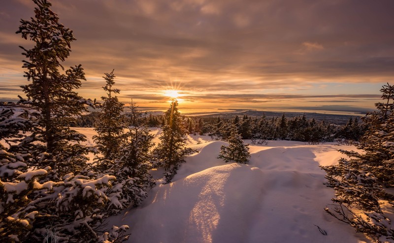 nature, winter, snow, landscape, sky, sunlight, trees