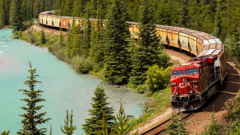 train, railway, forest, lake, travel, 4k