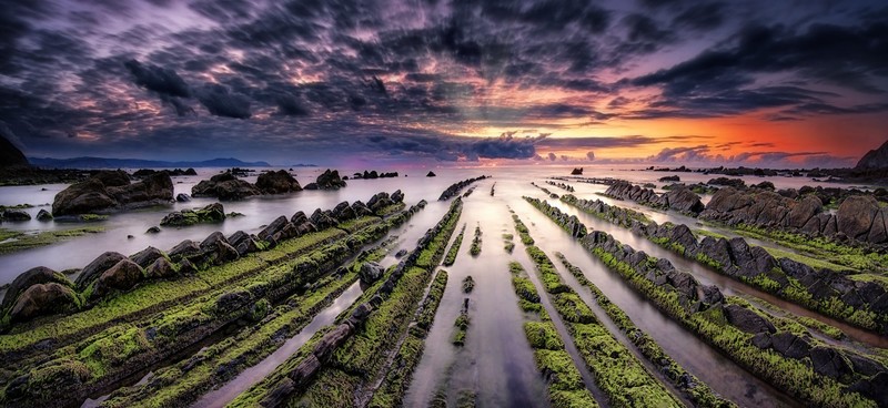 nature, sunset, field