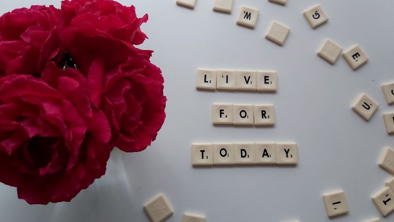 motivation, cubes, inscription, words, petals, 4k