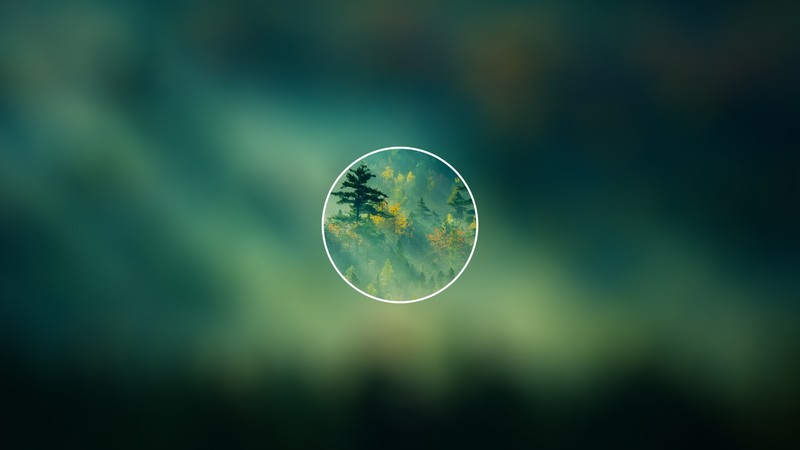 forest, nature, blurred, circle, trees, picture-in-picture, simple