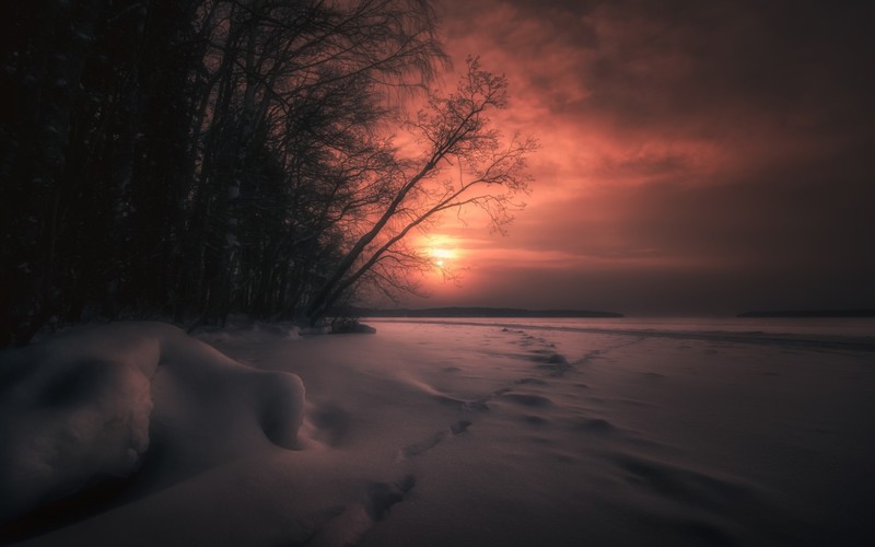 dark, sunlight, winter, snow, nature, sky, landscape, ice