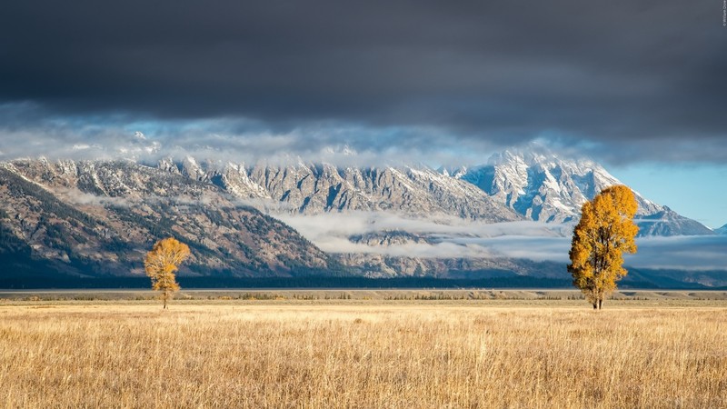 nature, sky, landscape, clouds, trees, mountains, plains
